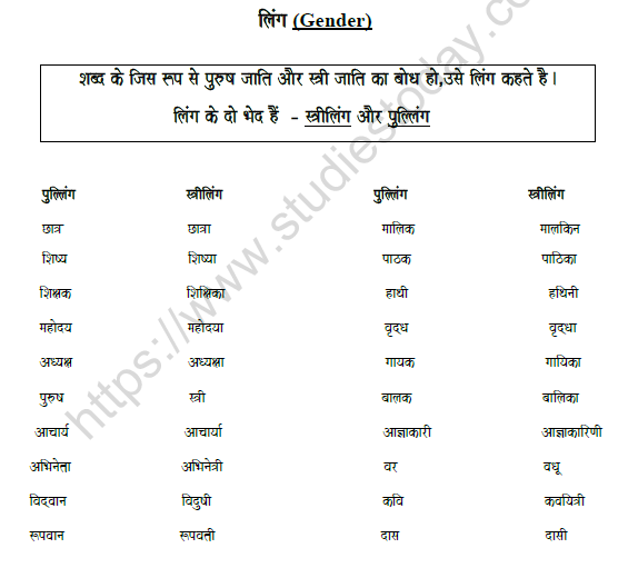CBSE Class 8 Hindi Gender Worksheet